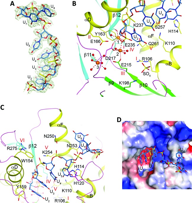 Figure 5.