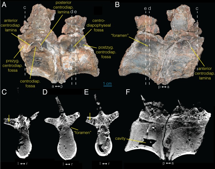 Fig 4