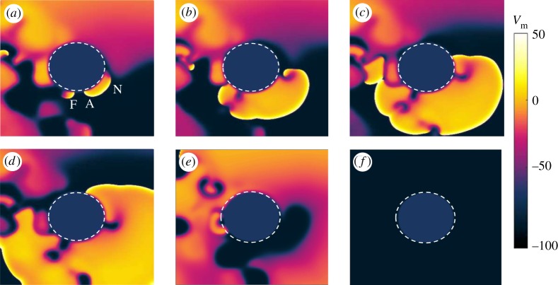 Figure 3.