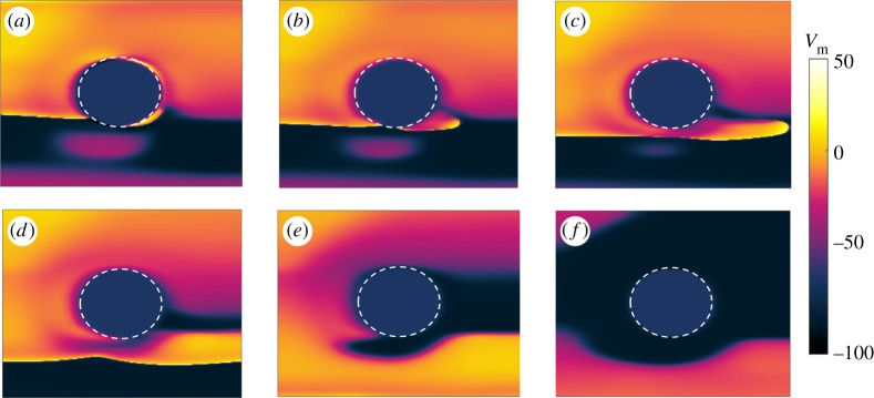 Figure 6.