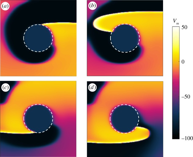 Figure 5.