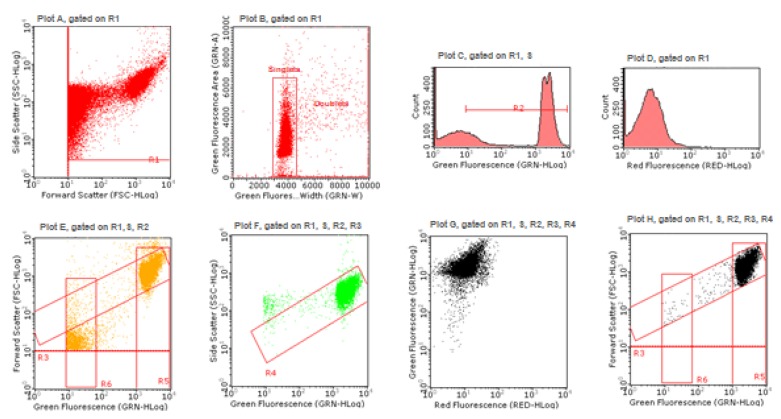 Figure 10