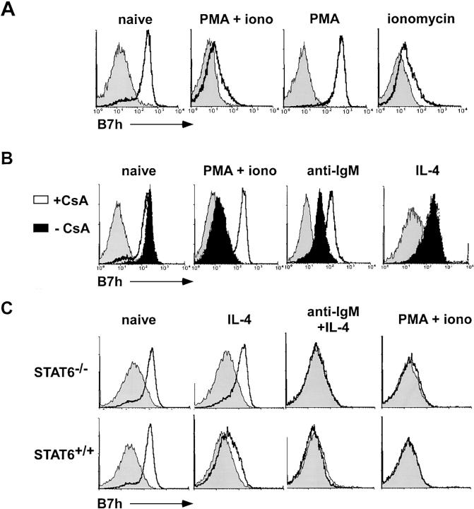 Figure 4.