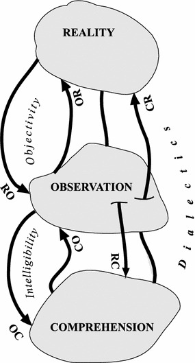 Fig. 2