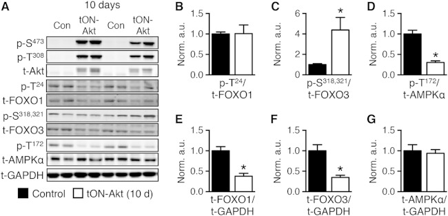 FIG 8