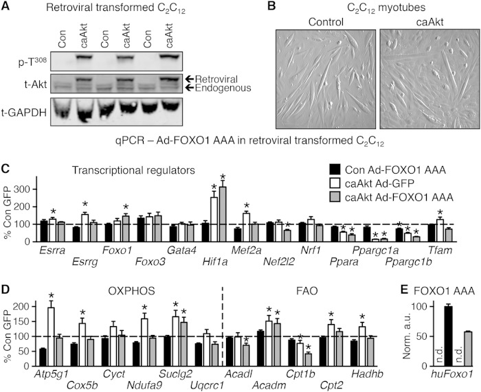 FIG 10