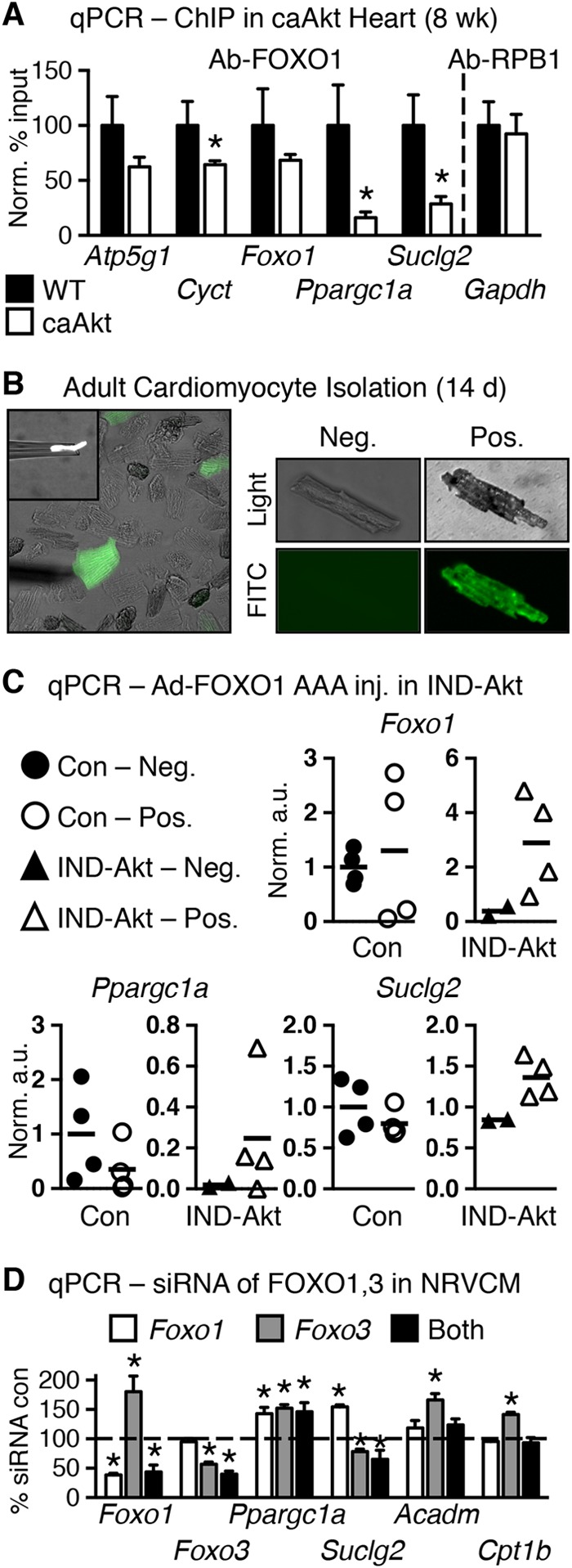 FIG 9