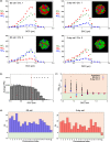 Figure 2