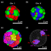 Figure 3