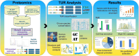 Graphical Abstract