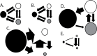 Fig 5