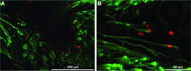 FIG. 8.