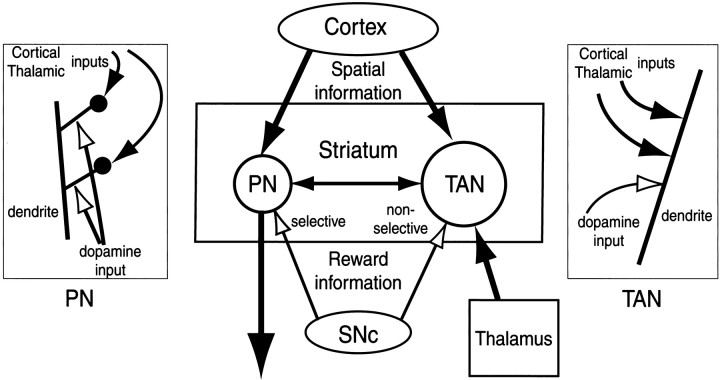 Fig. 10.