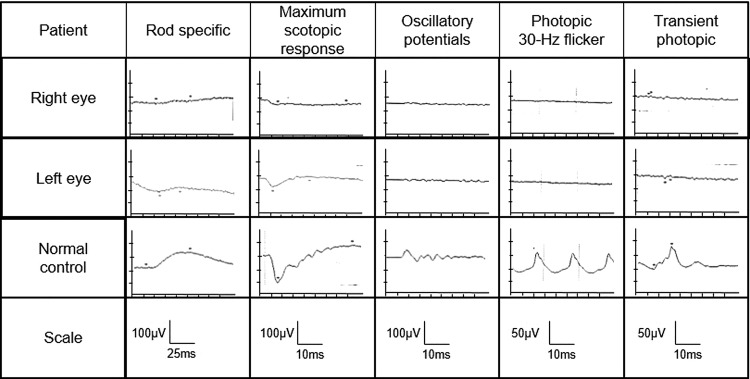 Figure 2