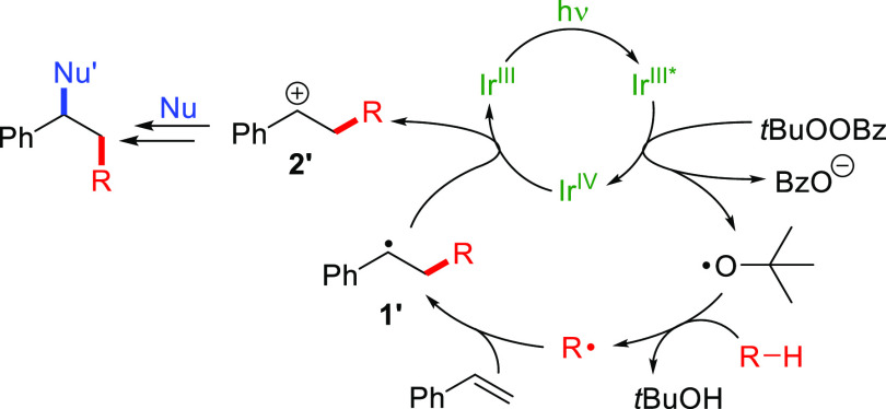 Scheme 2