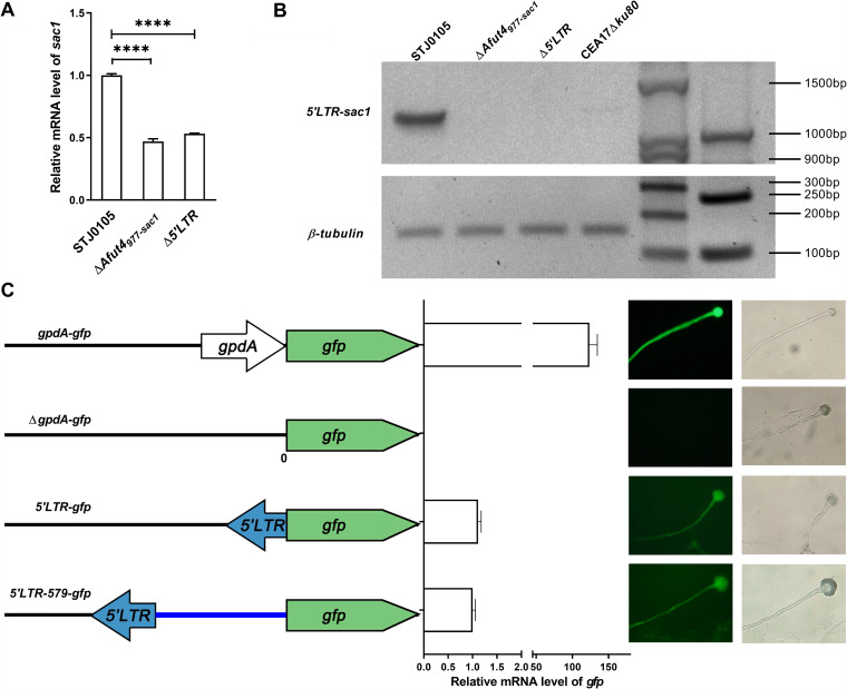 FIG 3