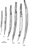 FIG 5