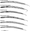 FIG 6
