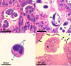 FIG 8