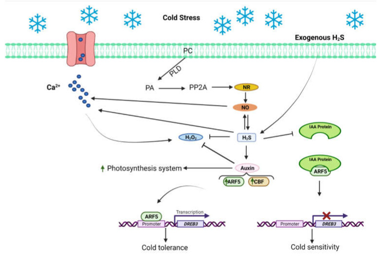 Figure 6