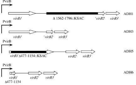 FIG. 1.