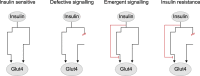 Figure 2.