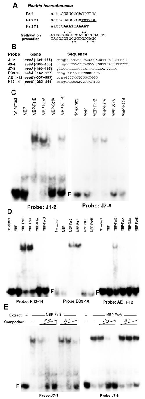 FIG. 5.