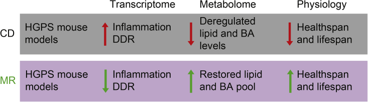 Figure 7