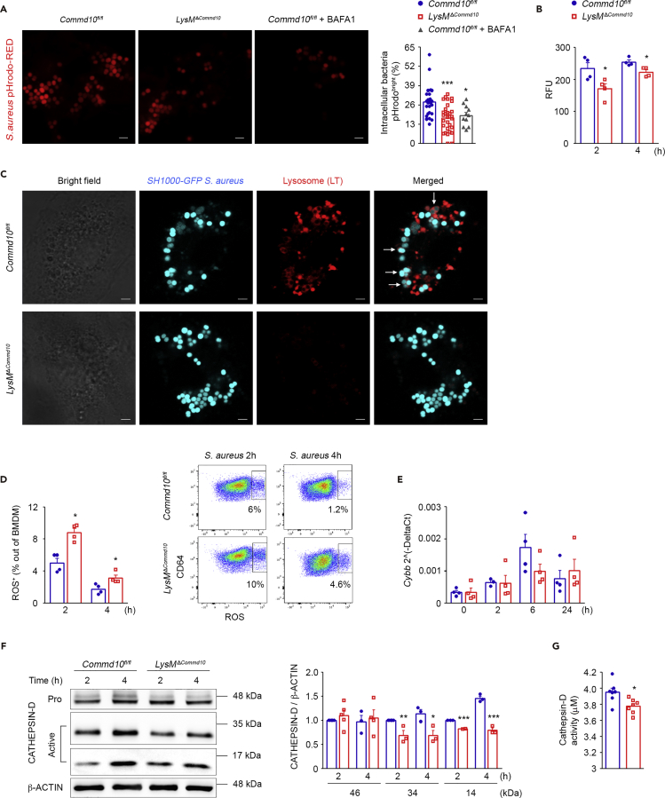 Figure 6