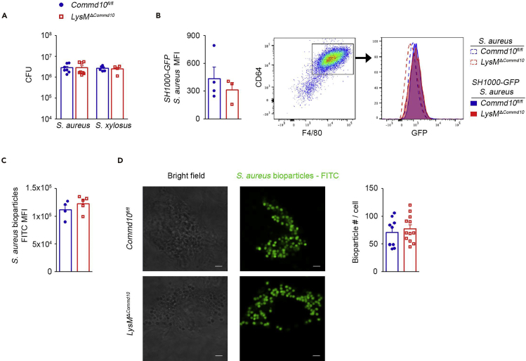 Figure 3