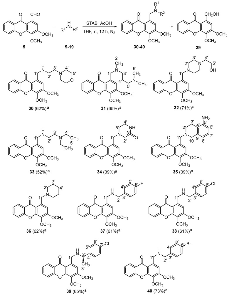 Scheme 2