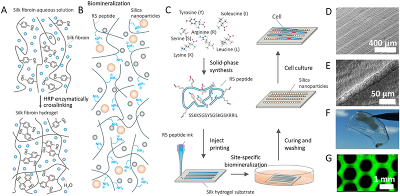 Figure 13.