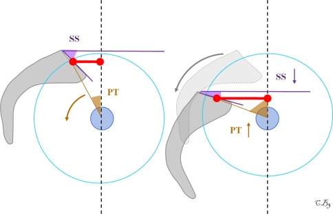 Fig. 7