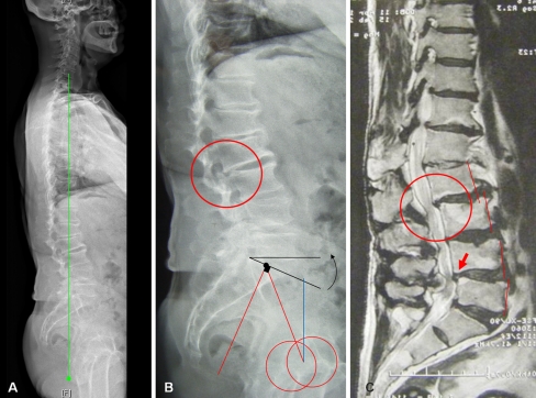 Fig. 5