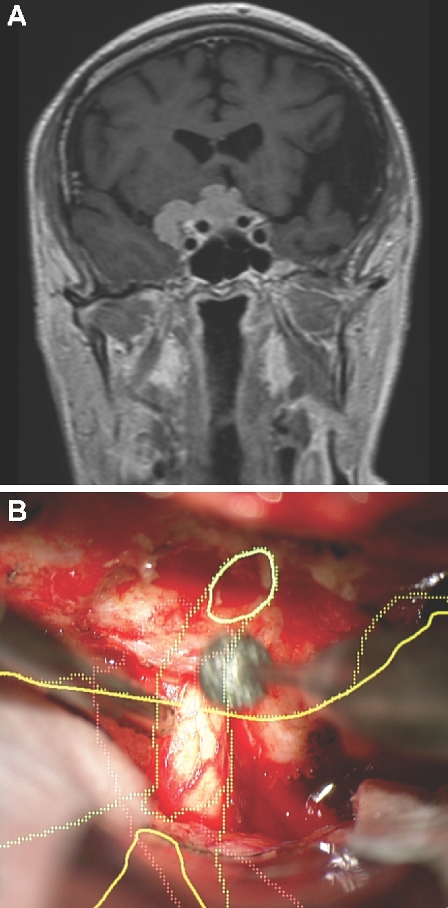 FIGURE 10.