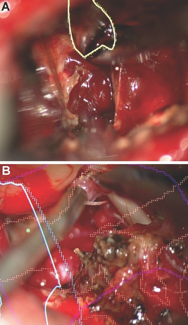 Figure 13.