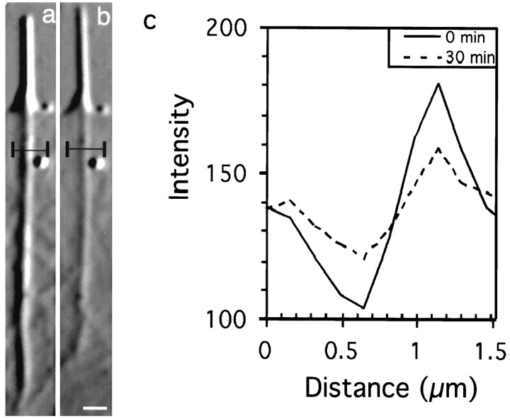 Fig. 9.