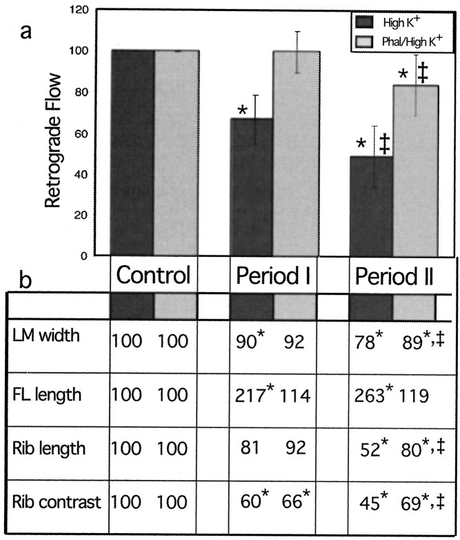 Fig. 11.