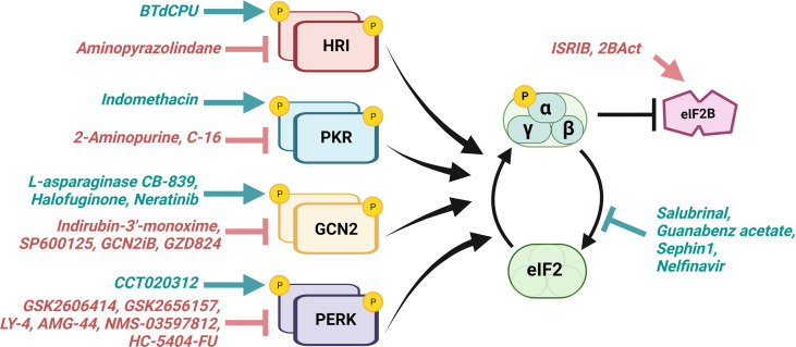 Figure 3