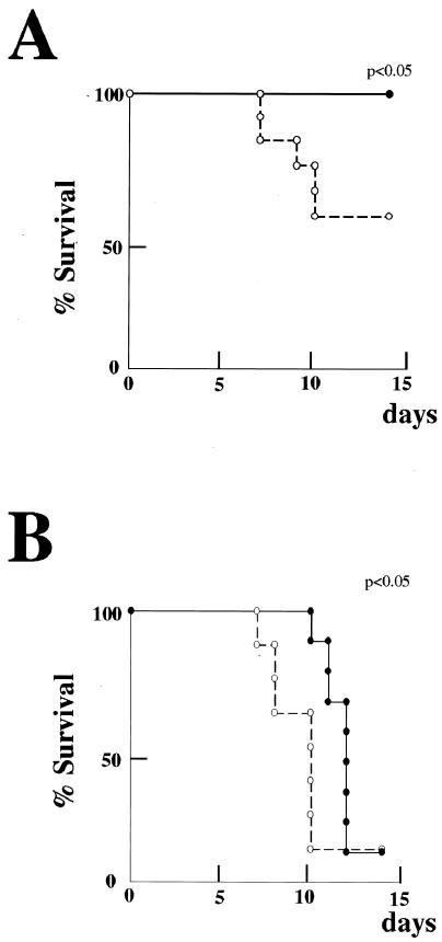 FIG. 5.