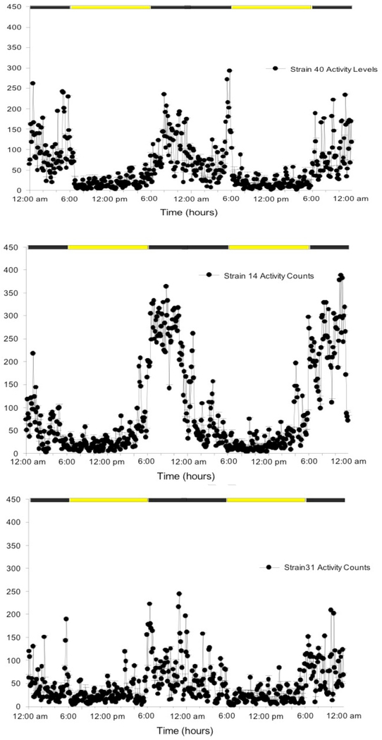 Figure 1: