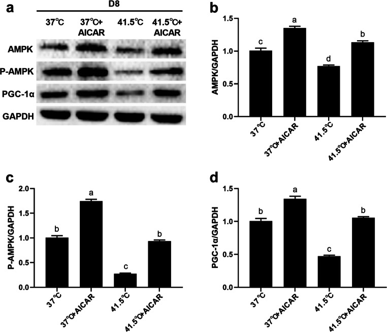 Fig. 9