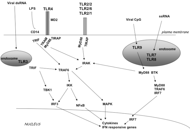 Fig. (1)