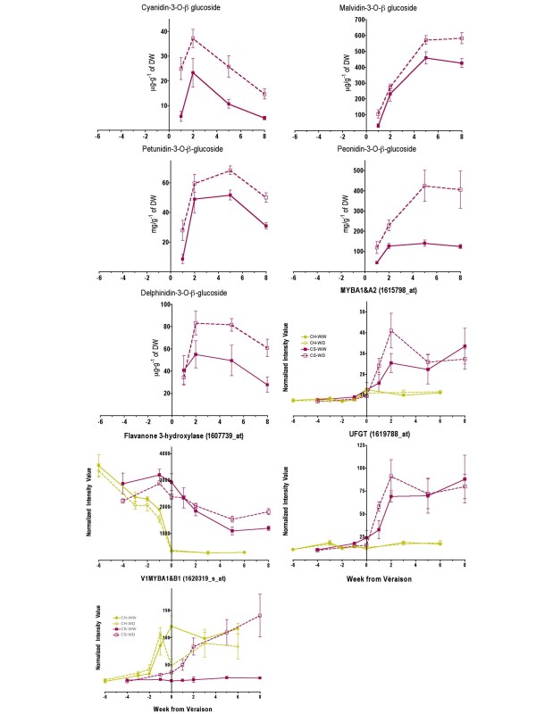 Figure 12