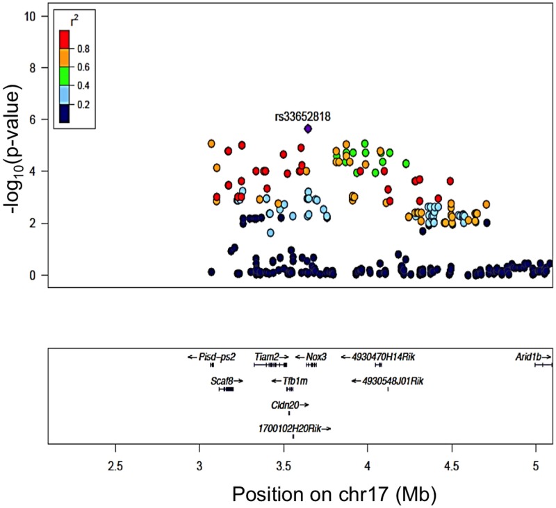 Fig 3