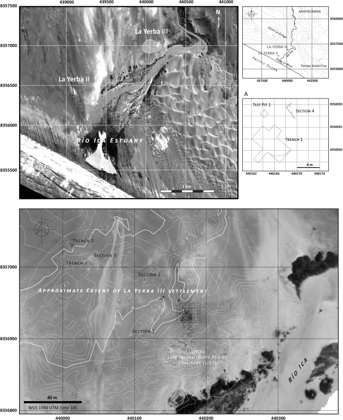 Fig. 3