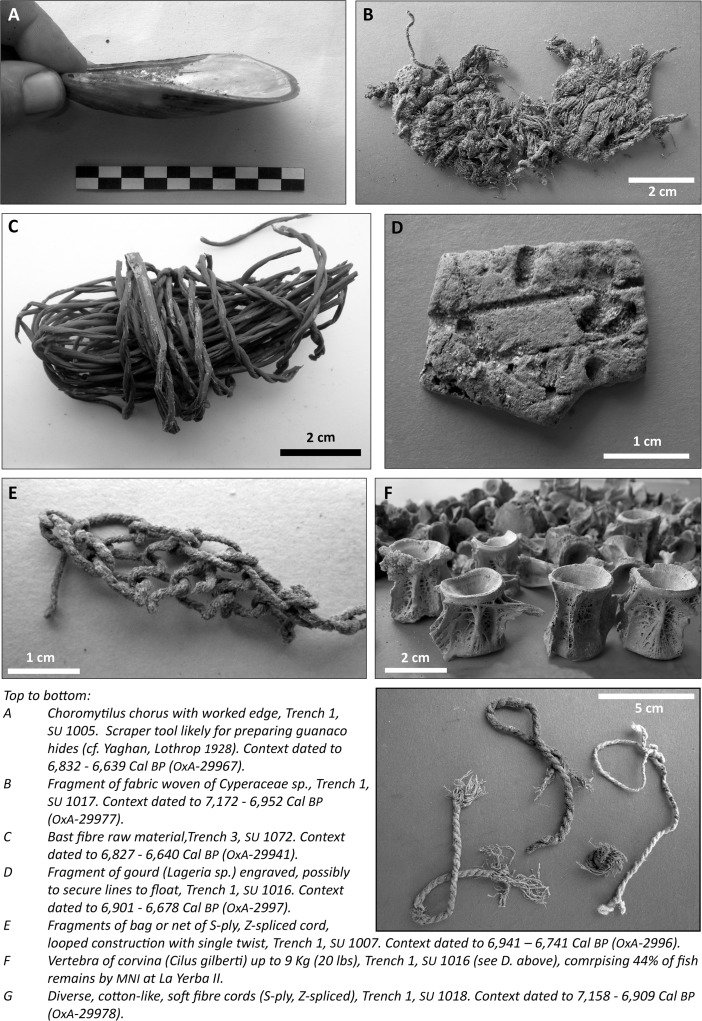 Fig. 8