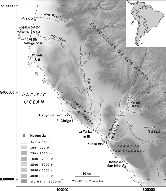 Fig. 1