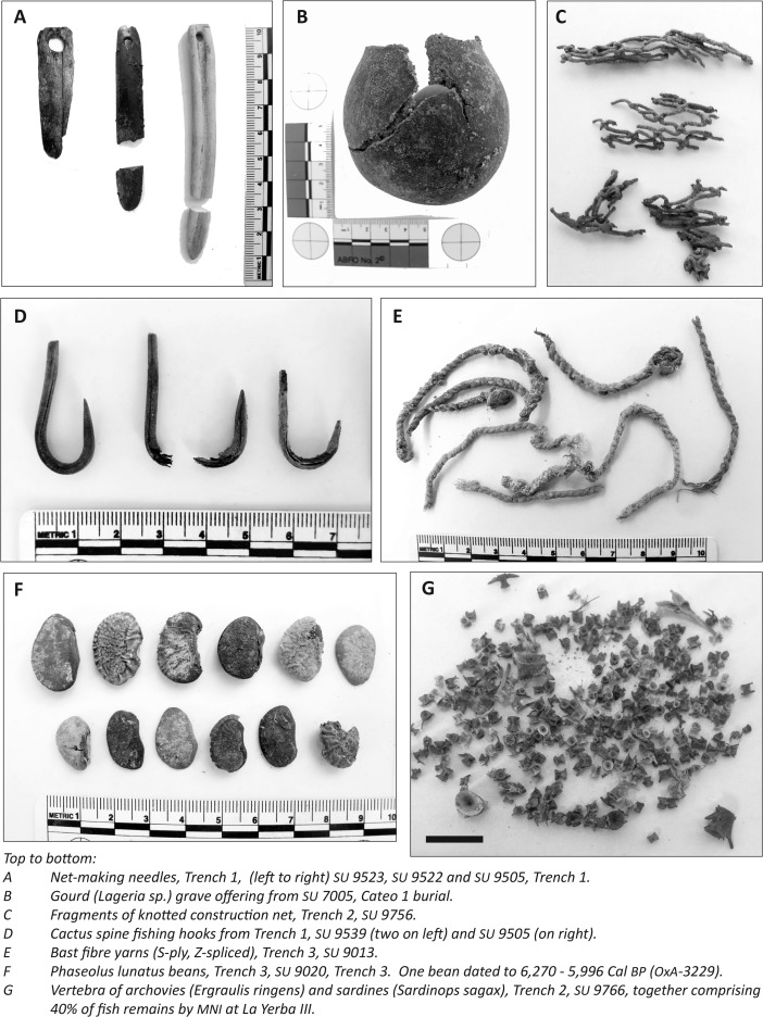 Fig. 9