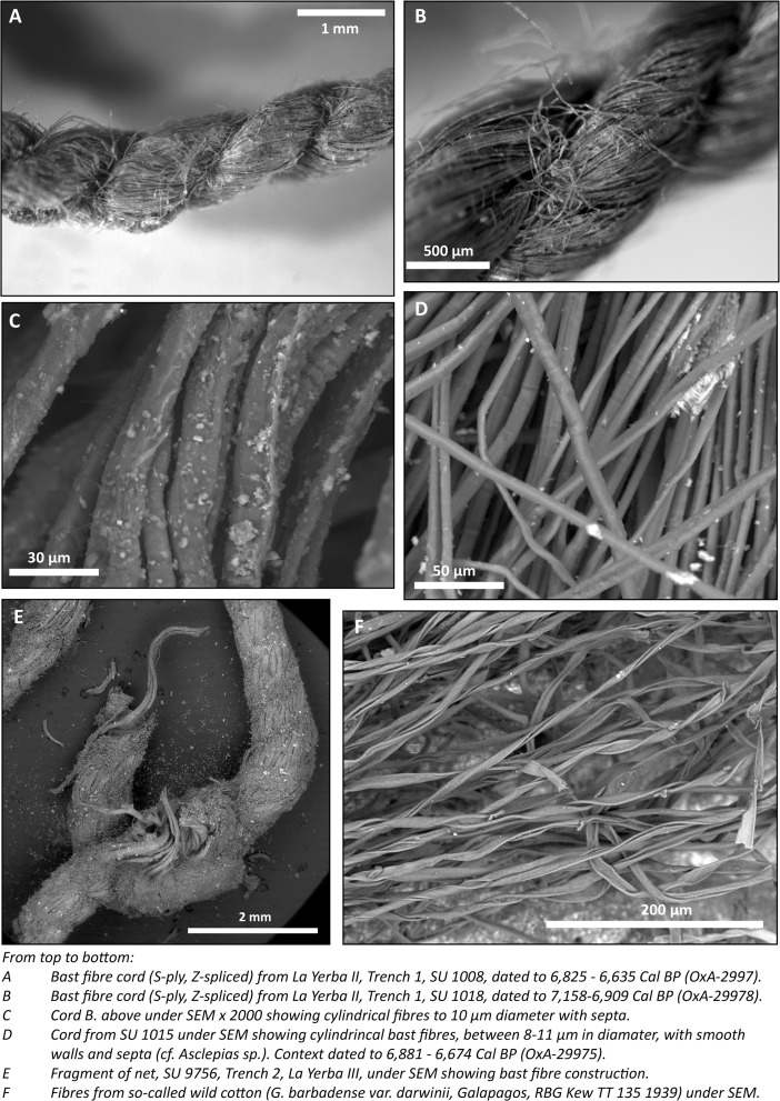 Fig. 10